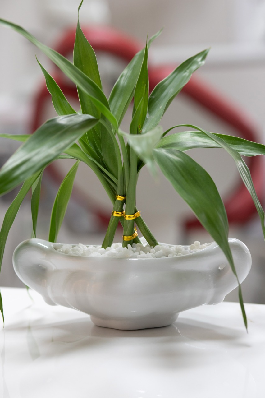 Detalhe de ambiente da clínica